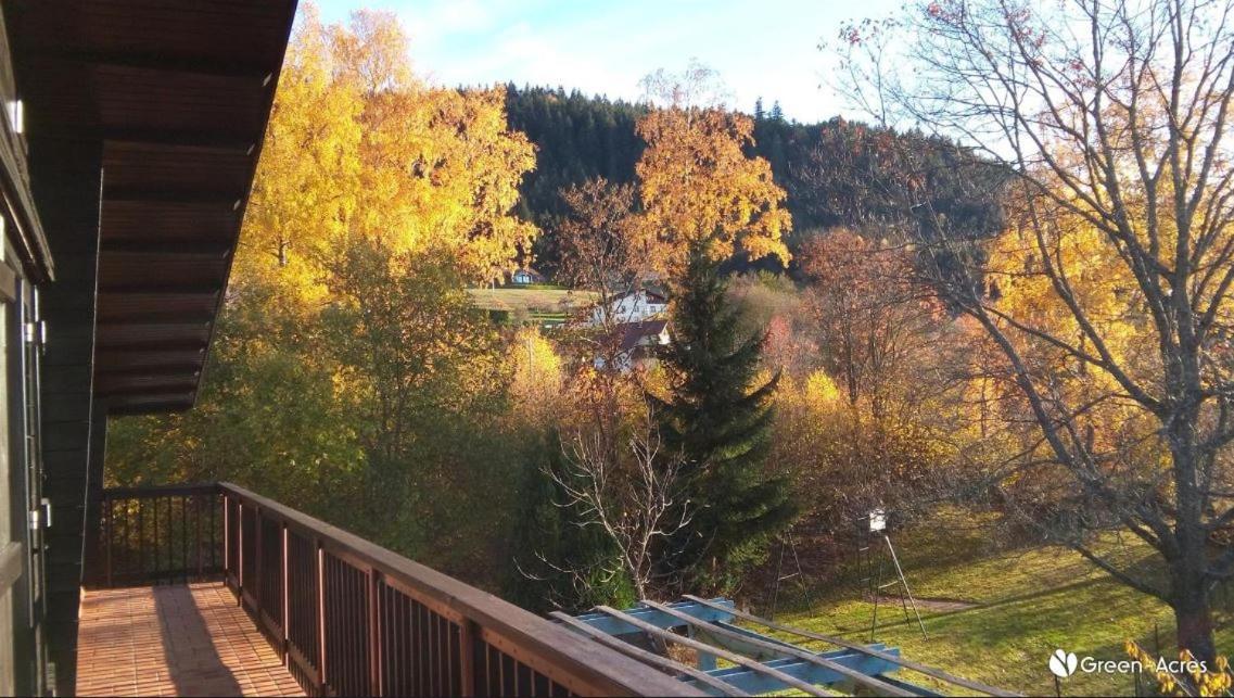 Chalet Les Chardons Жерарме Экстерьер фото